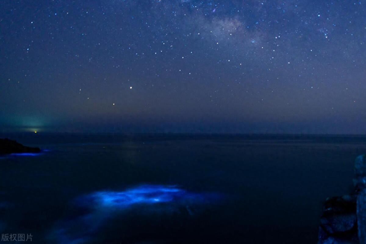 五一收官，哪些地方“爆单”？谁的表现最亮眼？