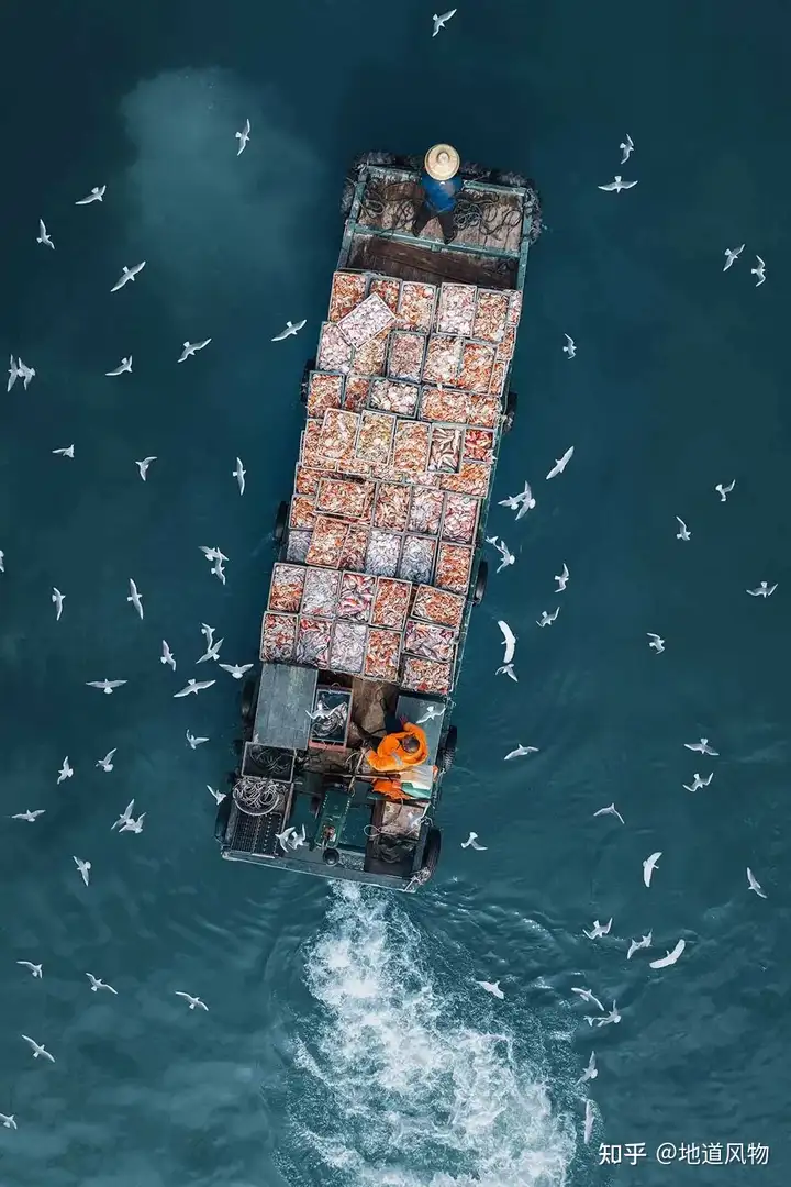 没想到吧？中国人的鲍鱼自由，要看这座城！