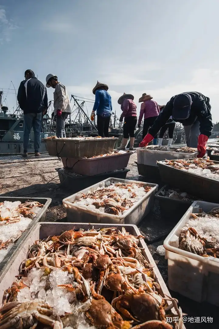 没想到吧？中国人的鲍鱼自由，要看这座城！