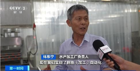 年产值超30亿元！智能化赋能，福建东山鲍鱼加工昼夜不停