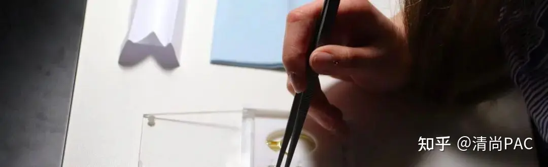 Met Gala 时尚盛典除了服装造势，还有什么博人眼球？