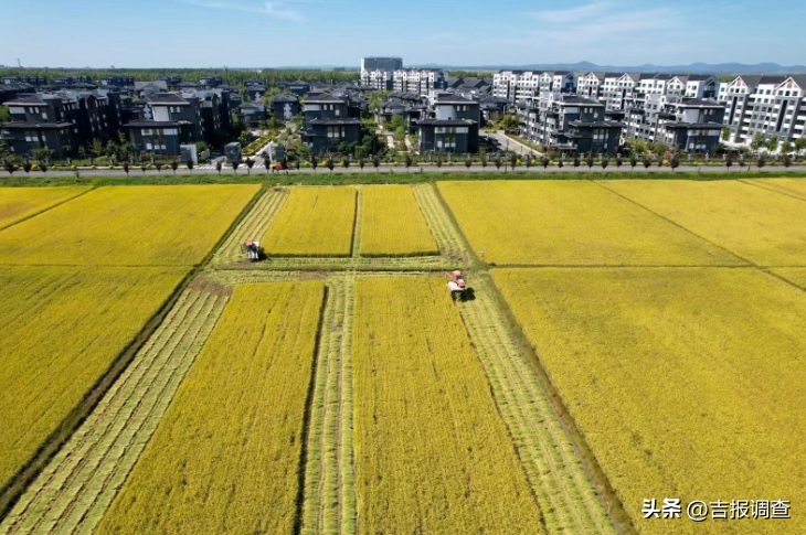 吉林省：多措并举保护黑土地，耕地质量不断提升