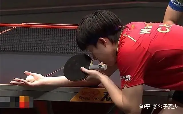 如何评价王楚钦？