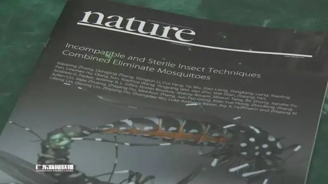 新加坡暴发史上最严重登革热疫情，登革热有多可怕？在新冠病毒防疫期间应如何预防？