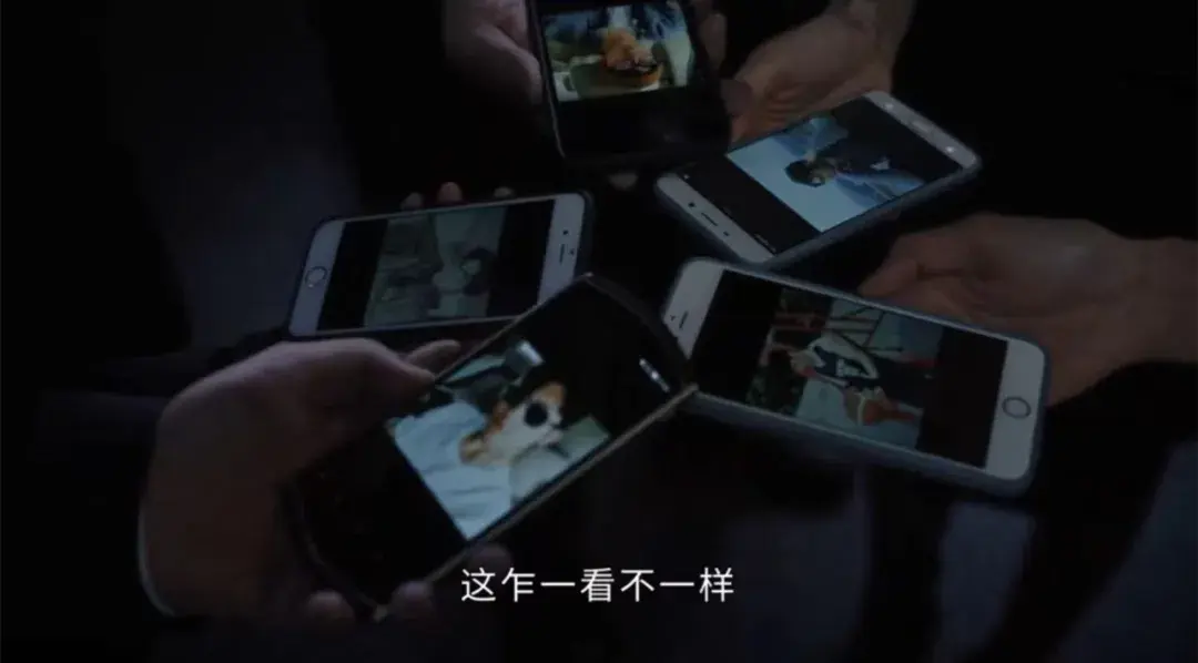 悬疑剧《新生》首播，骗子玩转连环套太刺激！黄觉井柏然意外好磕