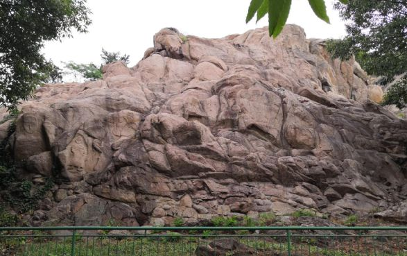 立夏：夏天就来连云港！