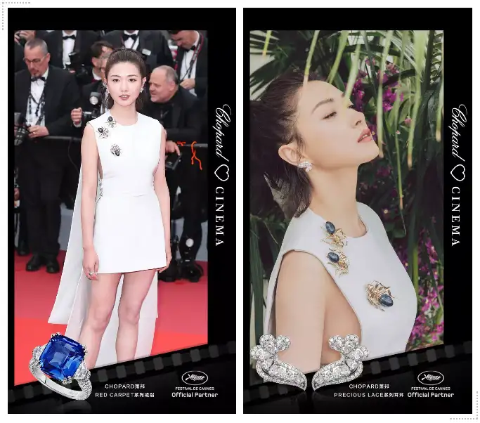 星光荟萃，闪耀戛纳