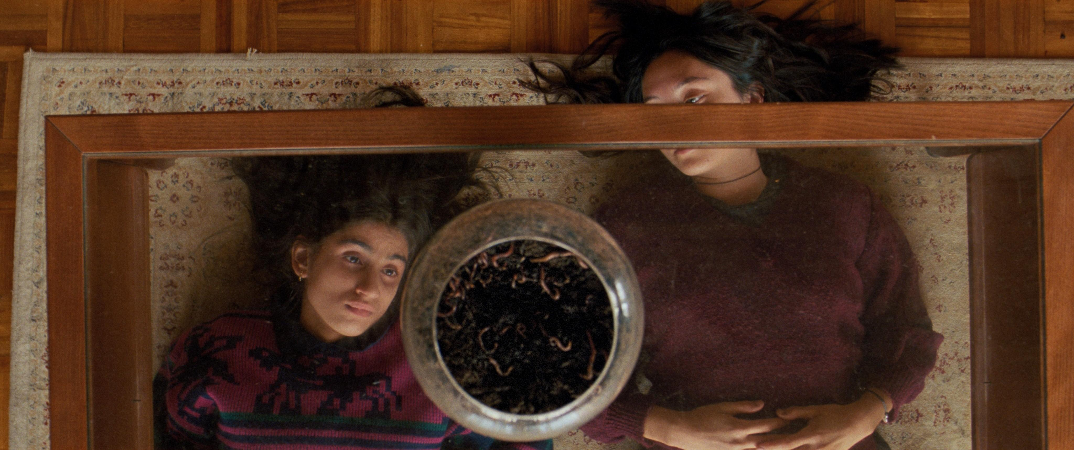 戛纳2024：艾玛斯通、本卫肖等入围新片发物料