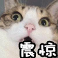 春季不减肥，夏季徒伤悲！你知道哪些减肥冷知识？