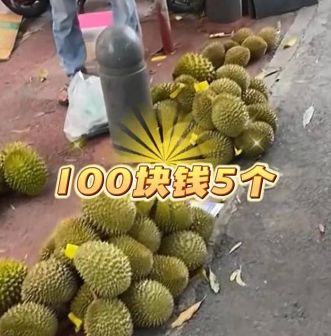 热闻|杭州榴莲批发价低至20元，你“榴莲自由”了吗