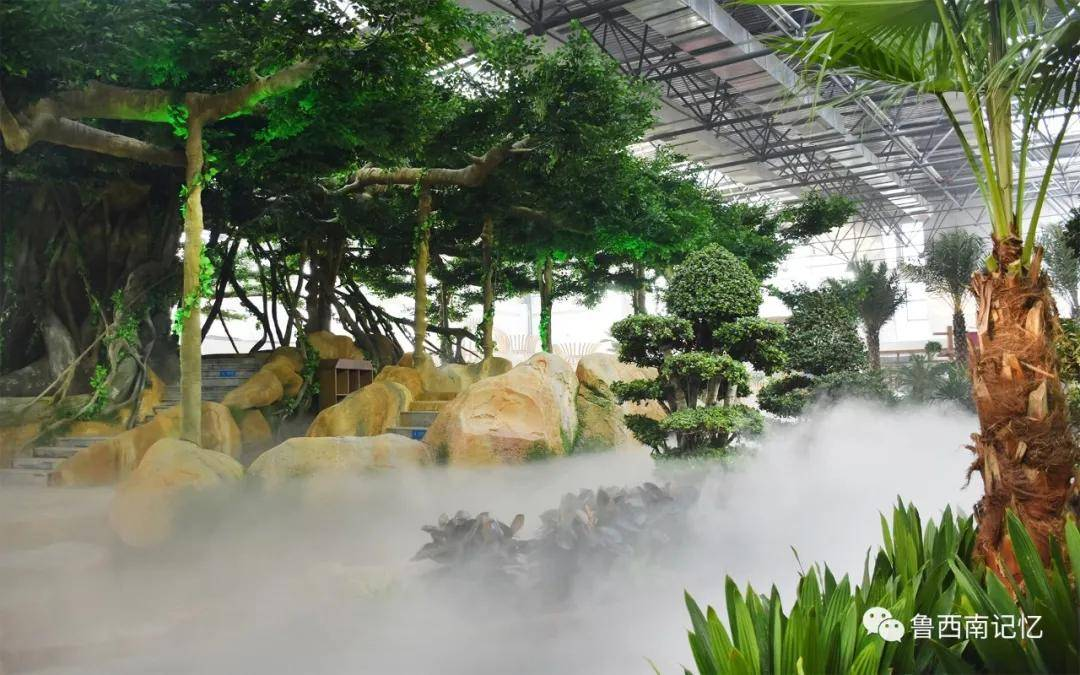 芍药赏花线路｜来菏泽，赏“五月花神”！