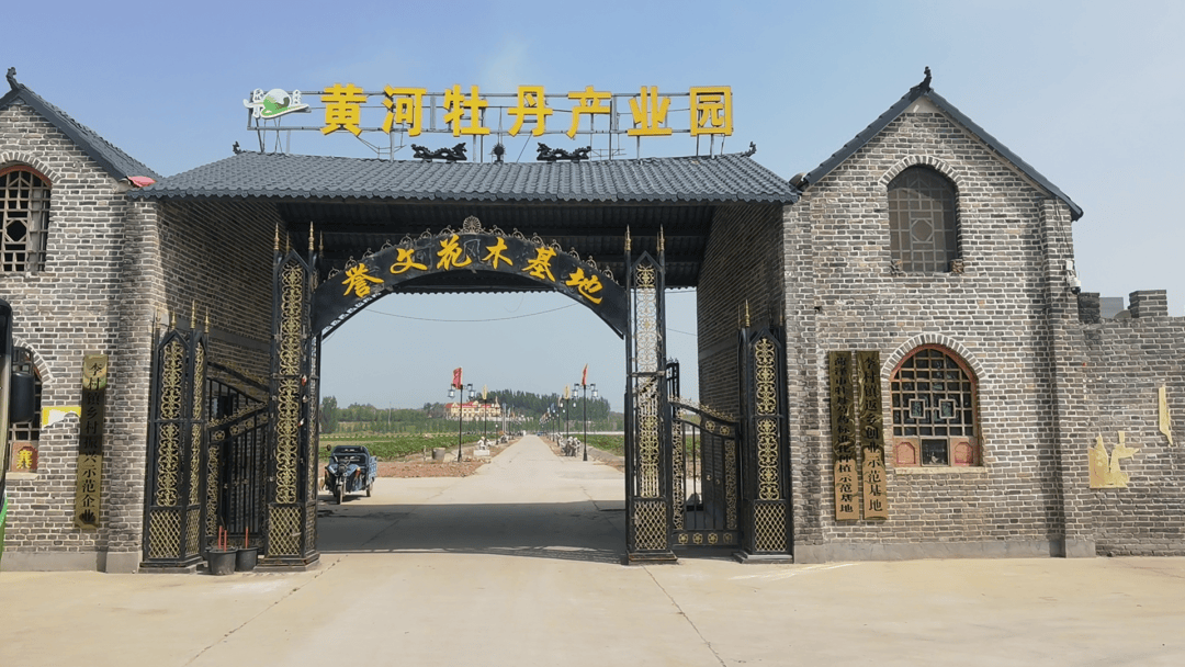 芍药赏花线路｜来菏泽，赏“五月花神”！