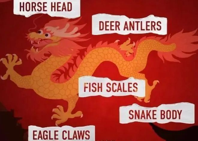 【中国】“龙”的英文翻译是Loong