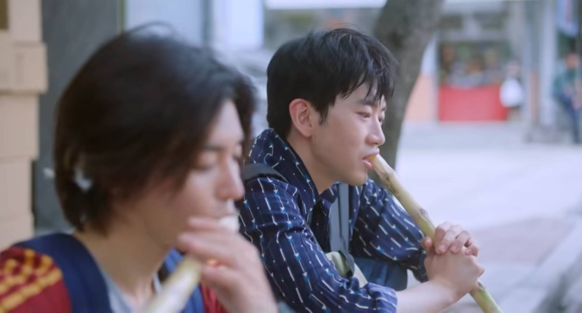 原创            一口气看4集，越看越上瘾，侯明昊杨采钰新剧令人观众入坑