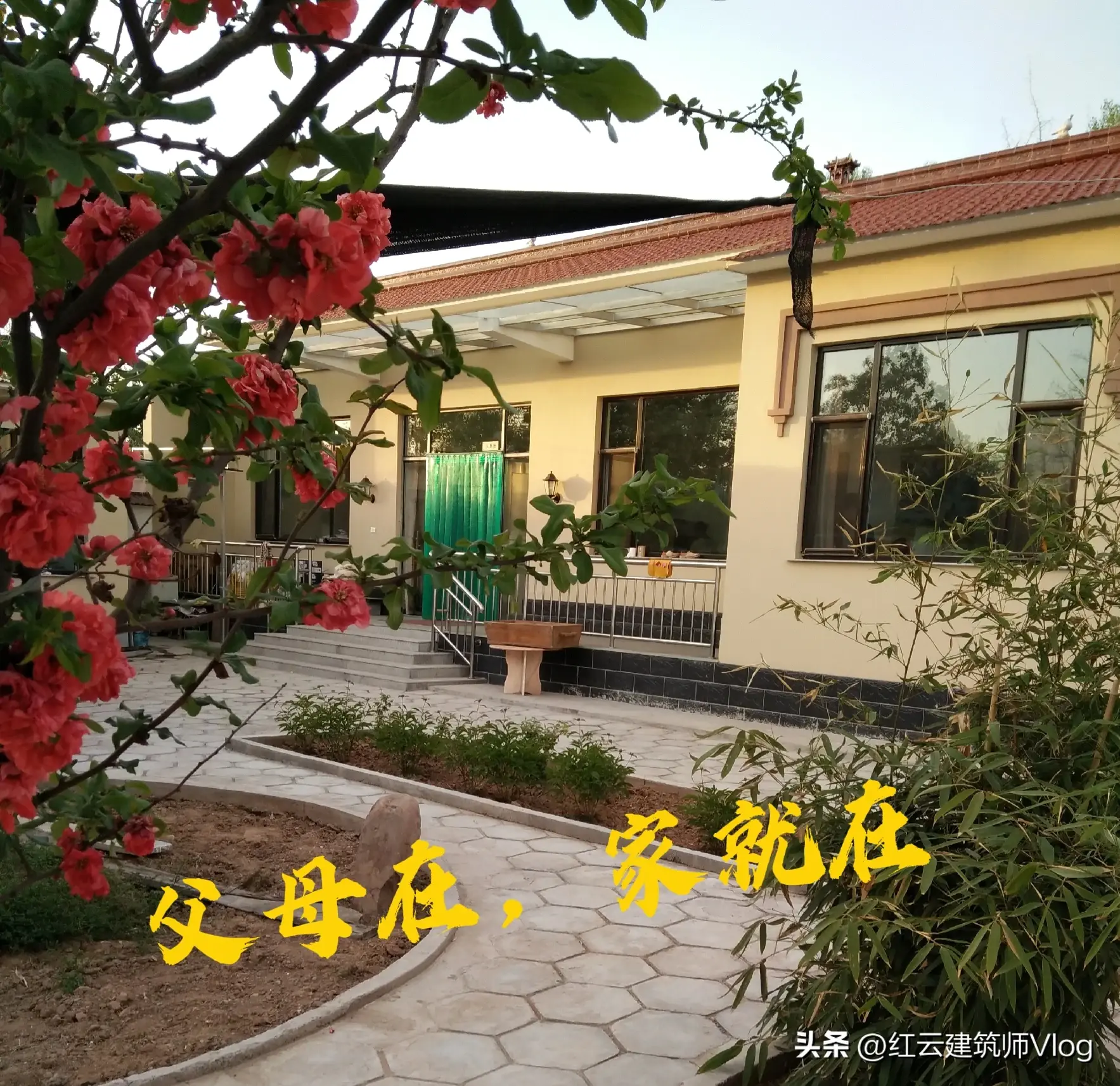 孝心的感动……