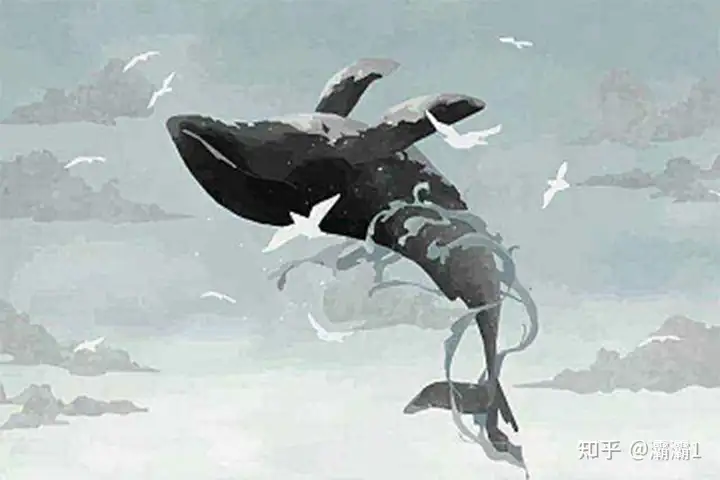 分析了一些最重要的NFT收藏品