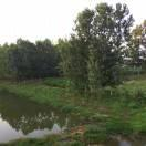 西甲：皇马4-0胜西班牙人 队史第35次夺冠 安帅创纪录 本泽马破门