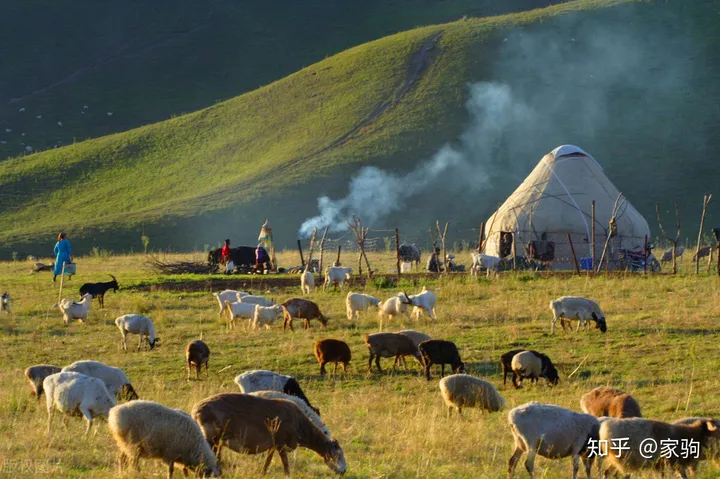天山脚下的神奇草原，那拉提！