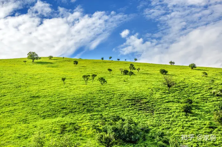 天山脚下的神奇草原，那拉提！