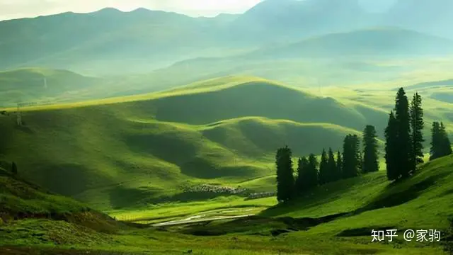 天山脚下的神奇草原，那拉提！