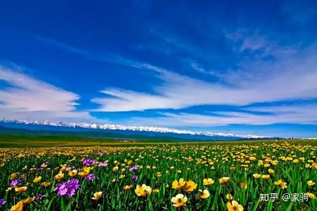 天山脚下的神奇草原，那拉提！