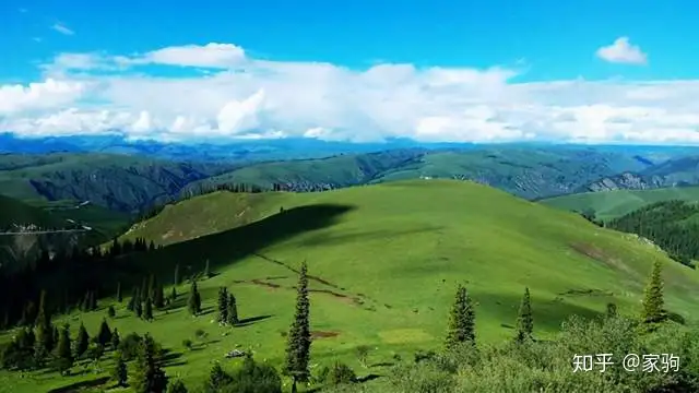 天山脚下的神奇草原，那拉提！