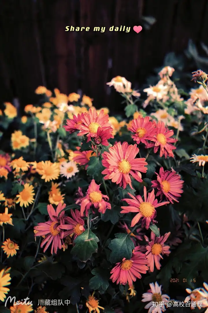 高考志愿优先选大学还是优先选专业？