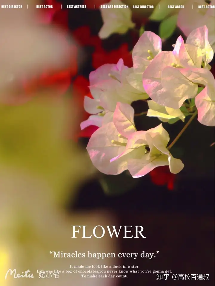 高考志愿优先选大学还是优先选专业？