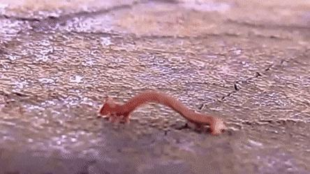 NASA月球车抄中国设计，解决美25年难题，美媒：应与中国充分交流