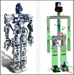 中国版人形机器人来了！34个自由度，“手眼足脑”超级复杂！