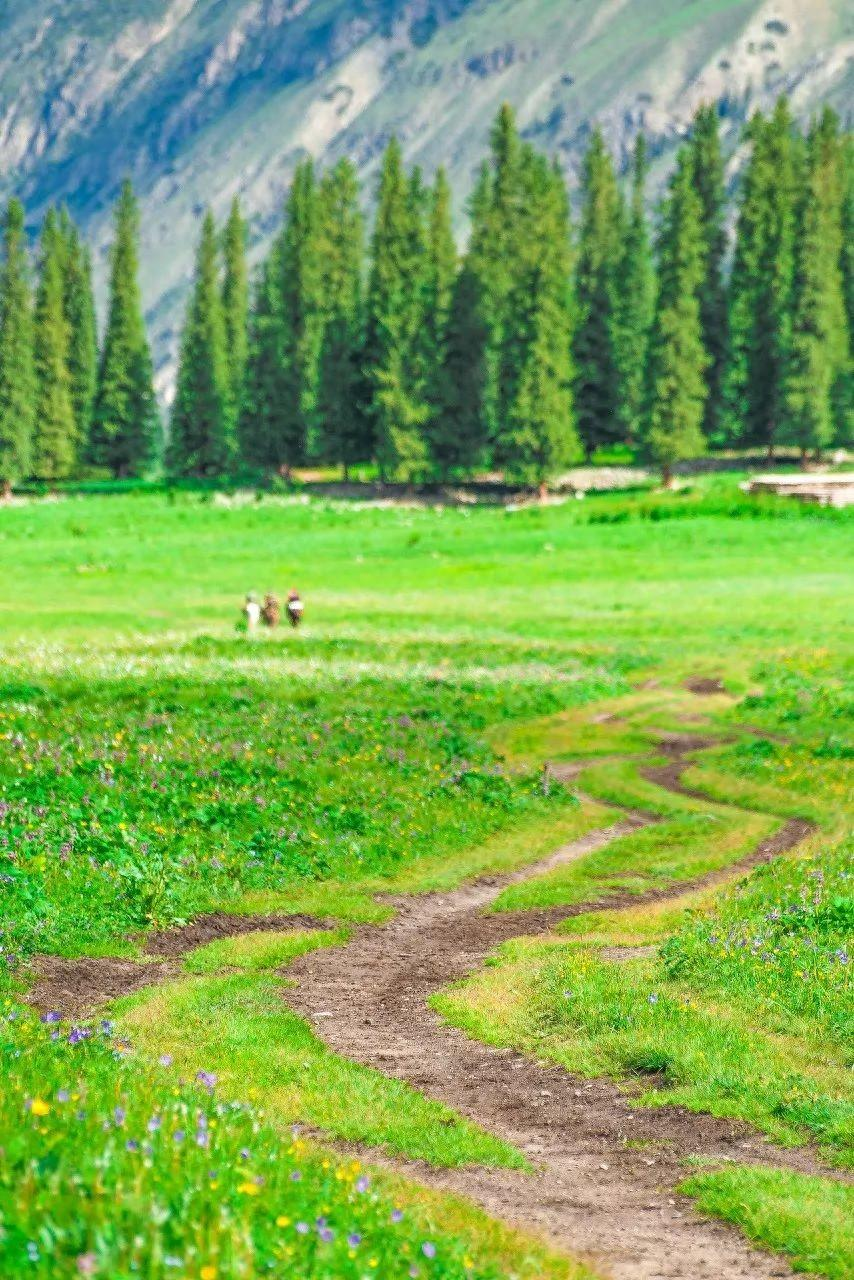 无论南疆or北疆，新疆的美，都美得不像话......