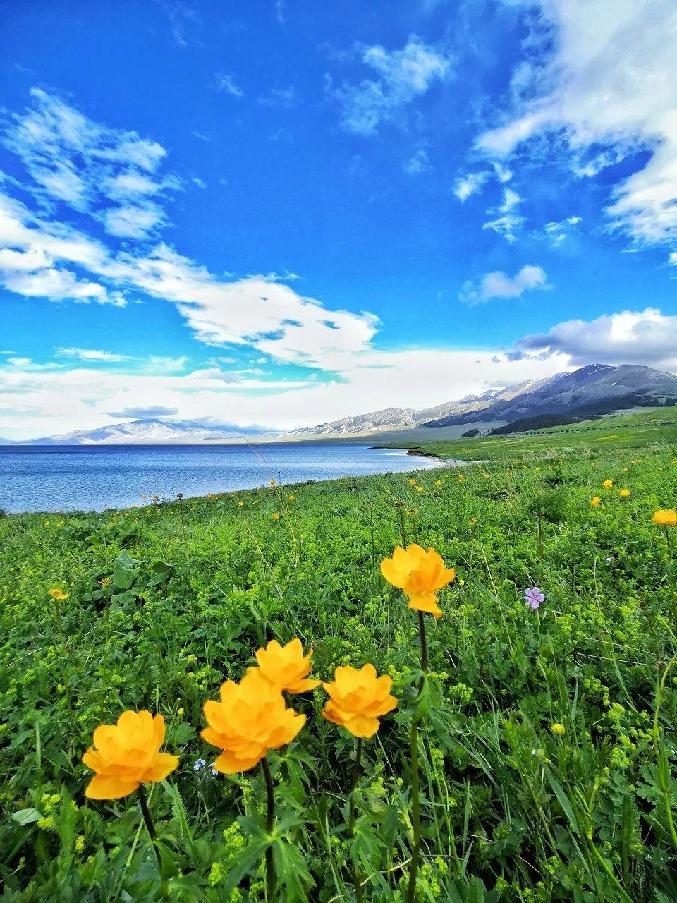 无论南疆or北疆，新疆的美，都美得不像话......