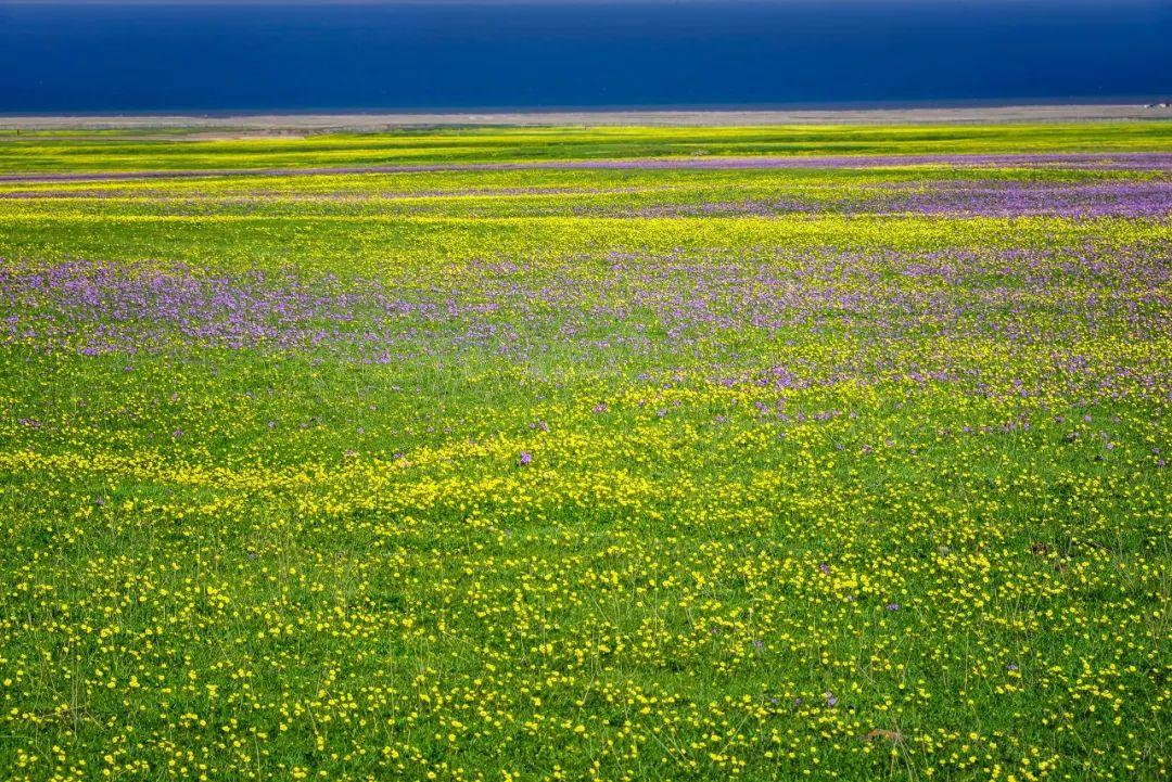 无论南疆or北疆，新疆的美，都美得不像话......