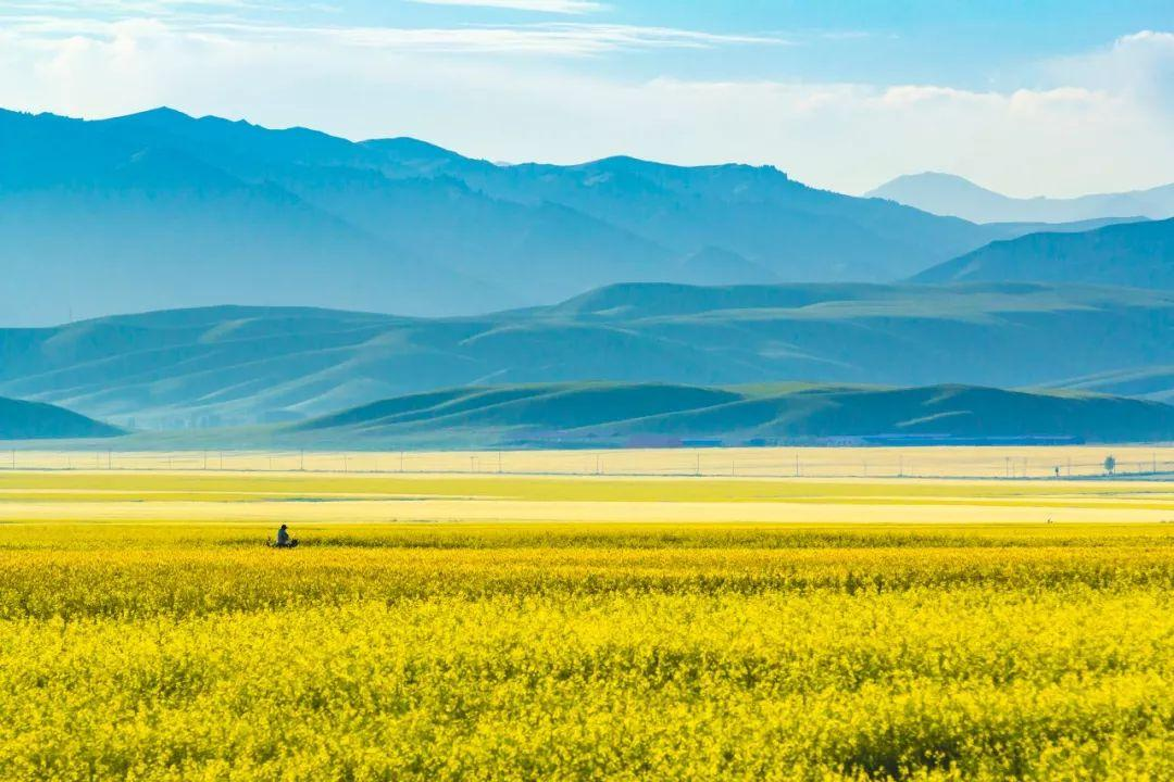 无论南疆or北疆，新疆的美，都美得不像话......