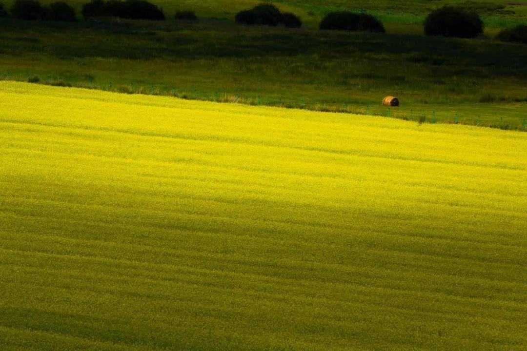 无论南疆or北疆，新疆的美，都美得不像话......
