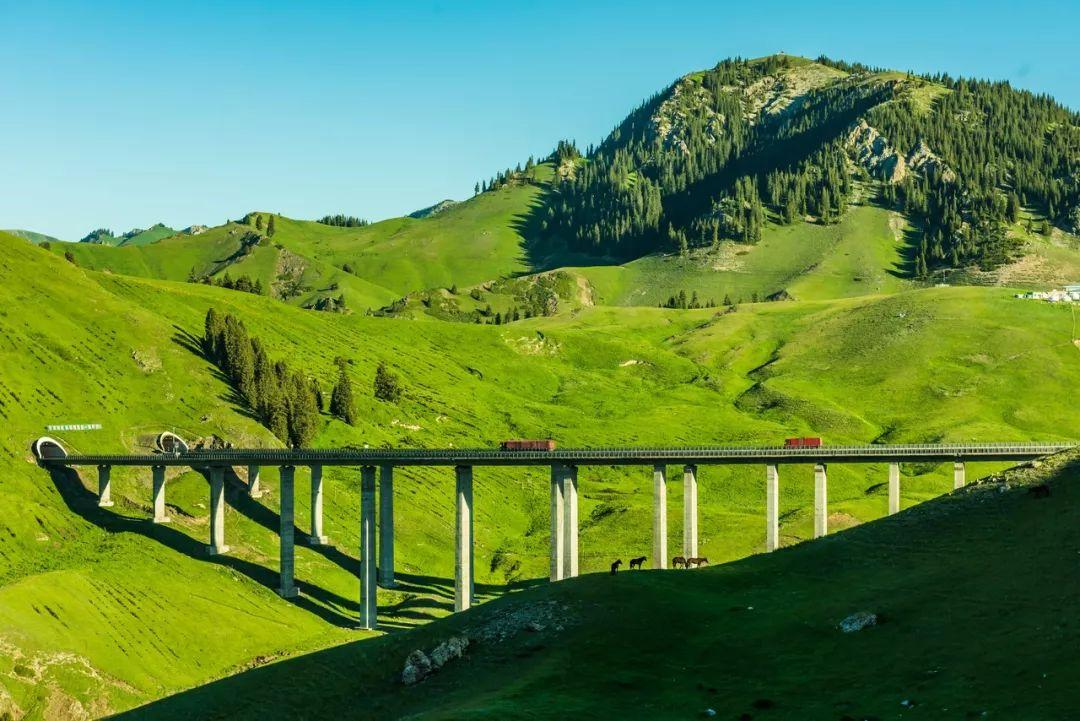 无论南疆or北疆，新疆的美，都美得不像话......