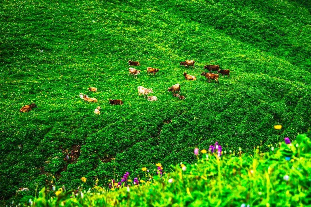 无论南疆or北疆，新疆的美，都美得不像话......