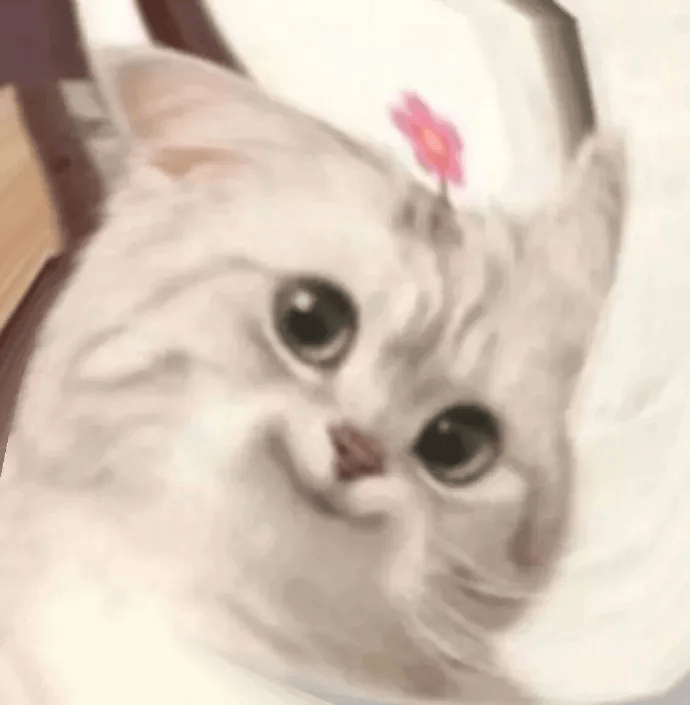 今年首个台风“艾云尼”或将生成？周末深圳又将迎来......