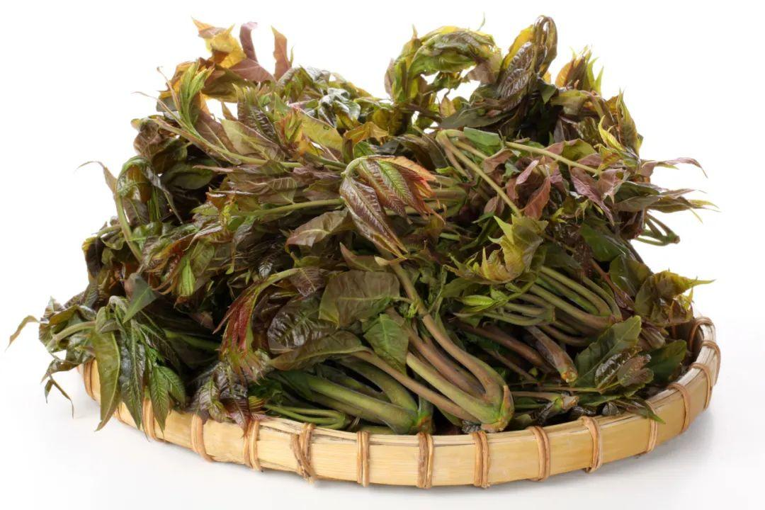 春日吃“春菜”，顺时而食健康过春天