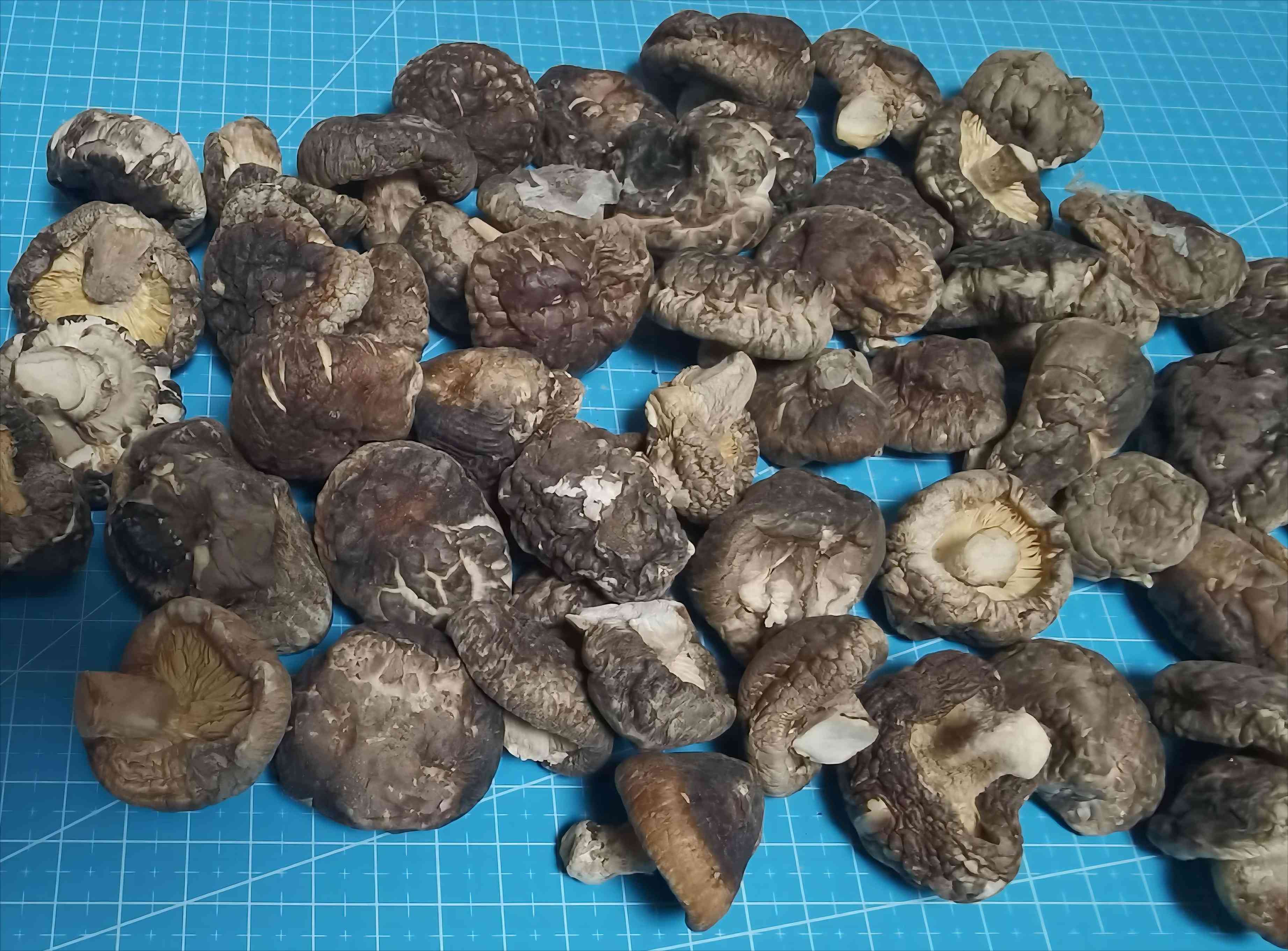 伦蒂南--健康肝吃出来！