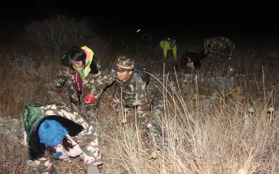 突发！大巴从250米的高处坠落，23人当场死亡。