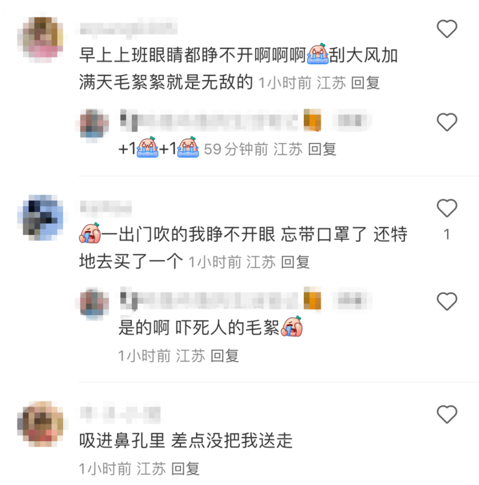 南京遭大风毛絮双重夹击！有人被“硬控”：浑身刺挠