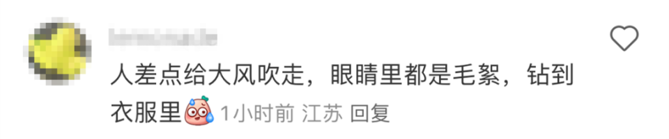 南京遭大风毛絮双重夹击！有人被“硬控”：浑身刺挠