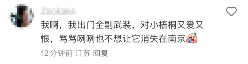 南京遭大风毛絮双重夹击！有人被“硬控”：浑身刺挠