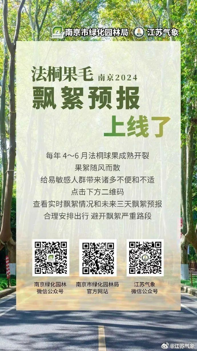 南京遭大风毛絮双重夹击！有人被“硬控”：浑身刺挠