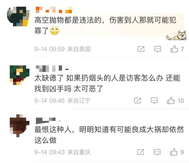 全楼验DNA，终于揪出高空抛物嫌疑人！