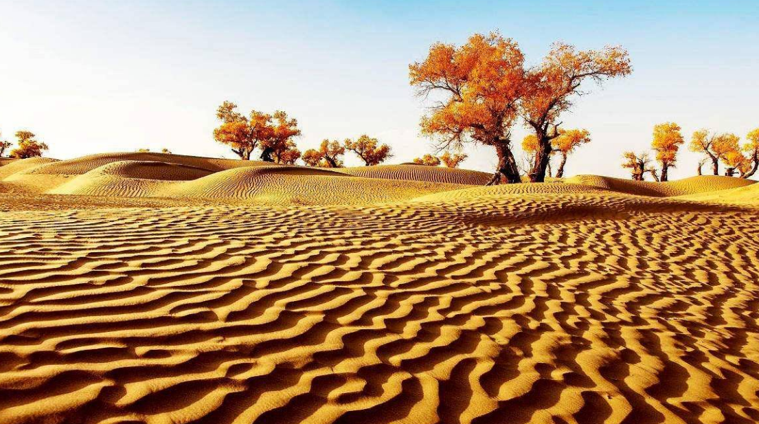 退休后，探索新疆十大美景，畅享自然奇观！