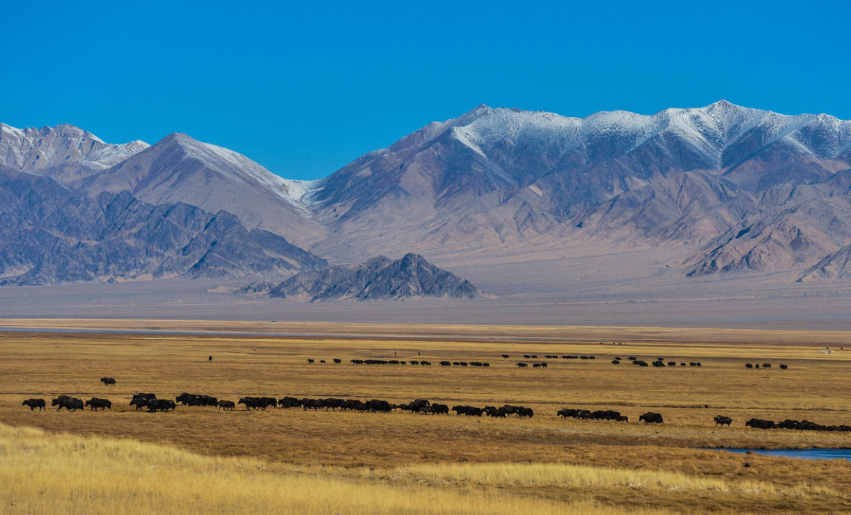 退休后，探索新疆十大美景，畅享自然奇观！