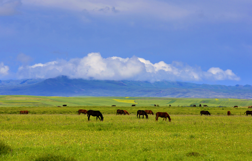 退休后，探索新疆十大美景，畅享自然奇观！