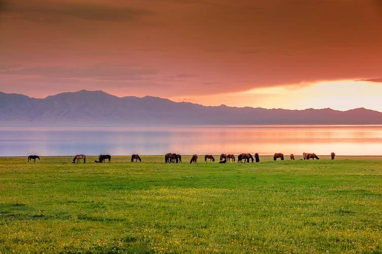 新疆必去的旅游，新疆必去的旅游景点，看完去新疆节省20%费用，拿走不谢